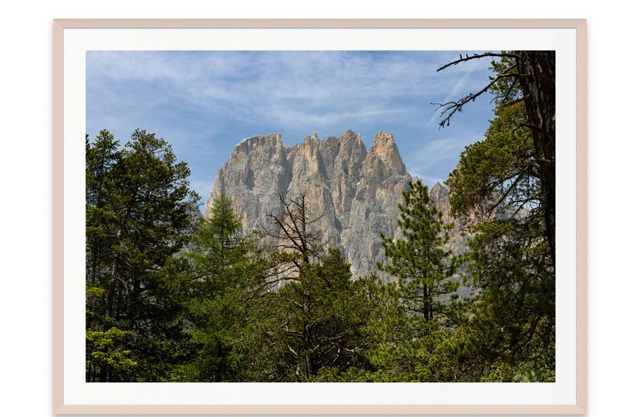 Fine art photography of forest and rock formations in the Dolomites