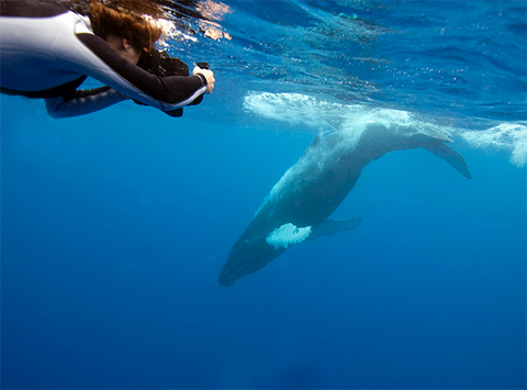 Screenshot 2021-09-30 at 14.29.27.png