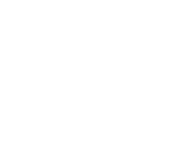 Group 338.png