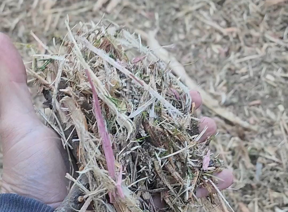 Close-up of forestry mulch produced from brush and woody vegetation