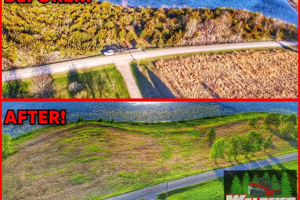 Before and after field-edge mulching near lake shoreline.