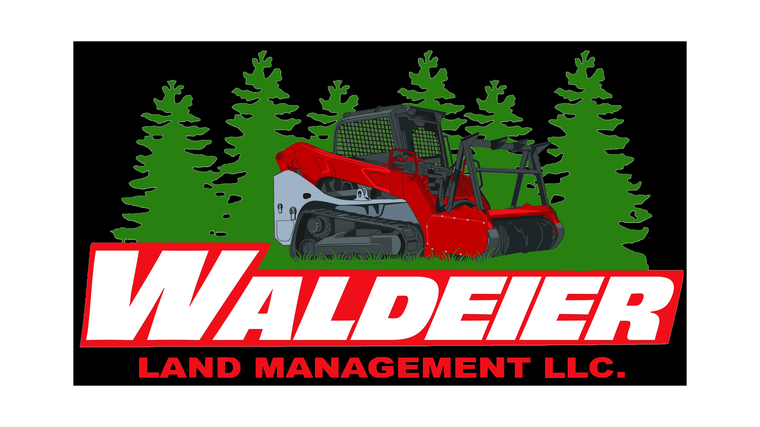 waldeier-footer-logo-desktop-safe-760w.webp