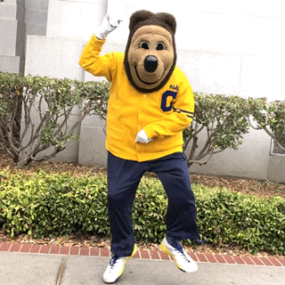 giphy.gifSDFDS.gif