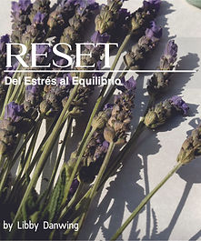 4. RESET.jpg