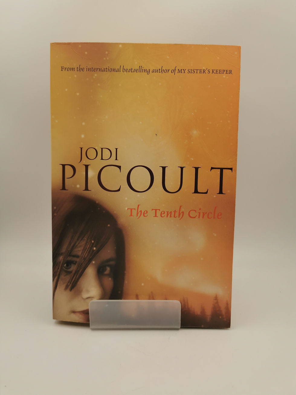 Thumbnail: The Tenth Circle - Jodi Picoult