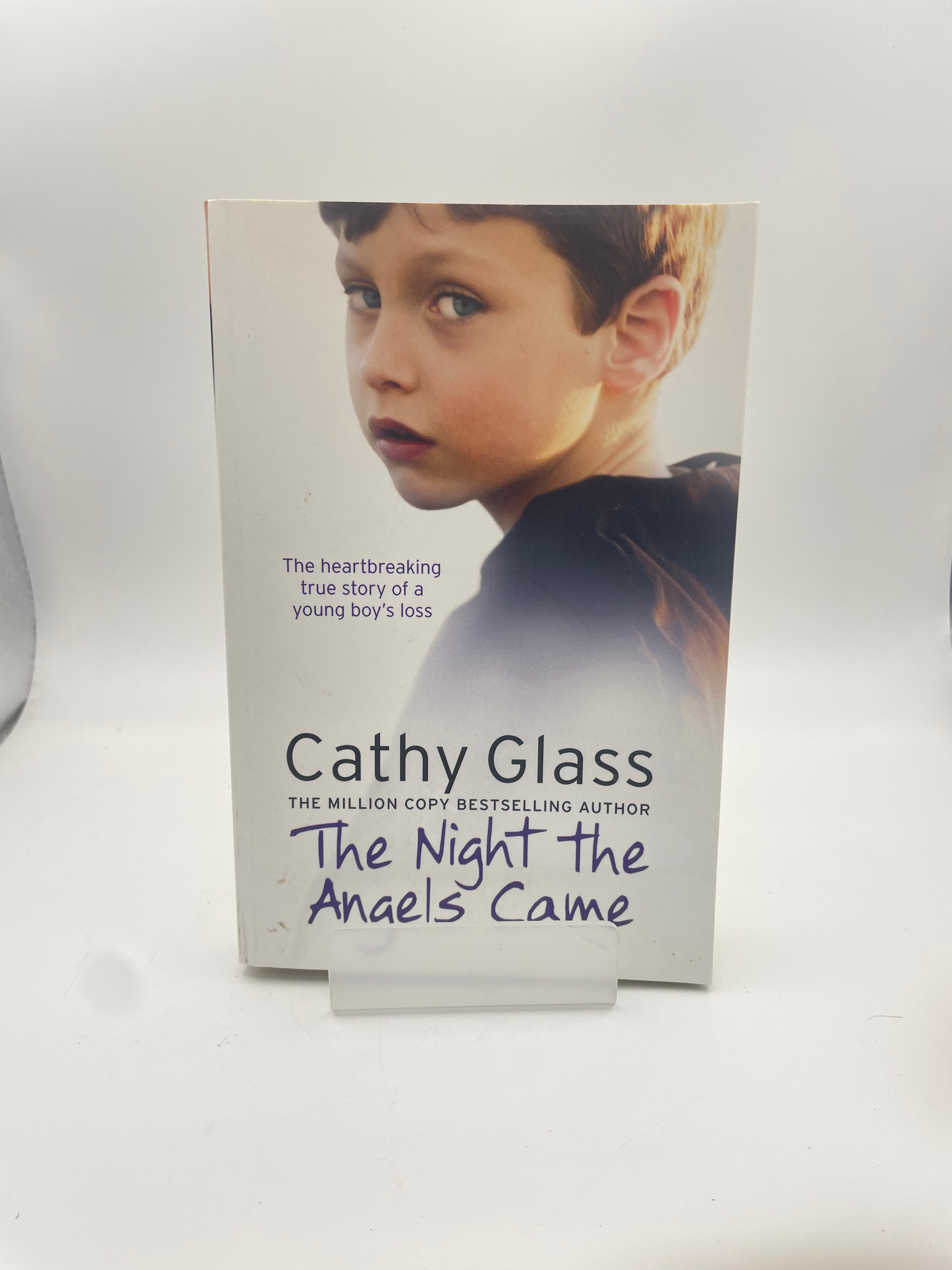 The Night the Angels Came - Cathy Glass