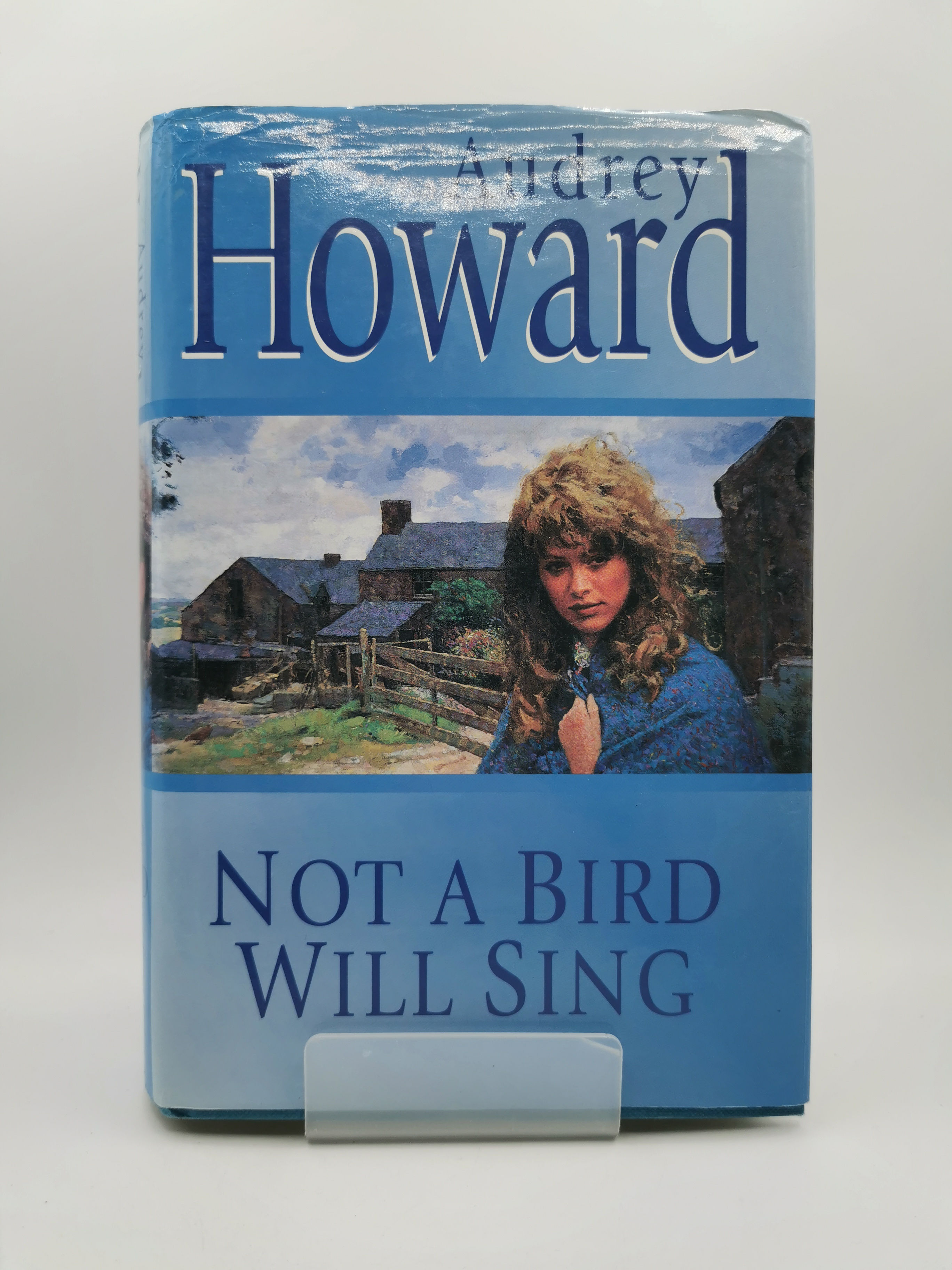 Not a Bird Will Sing - Audrey Howard