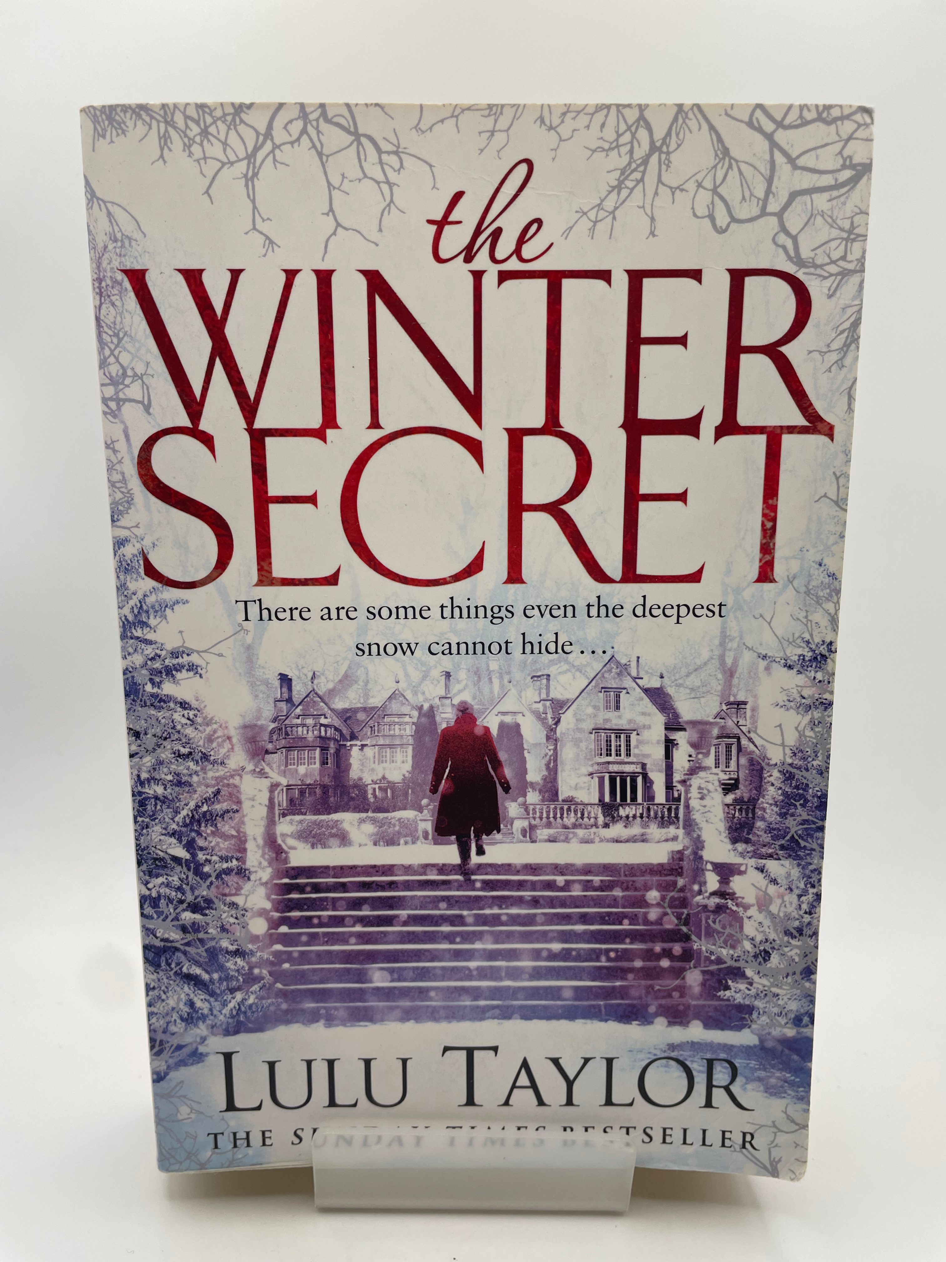 The Winter Secret - Lulu Taylor