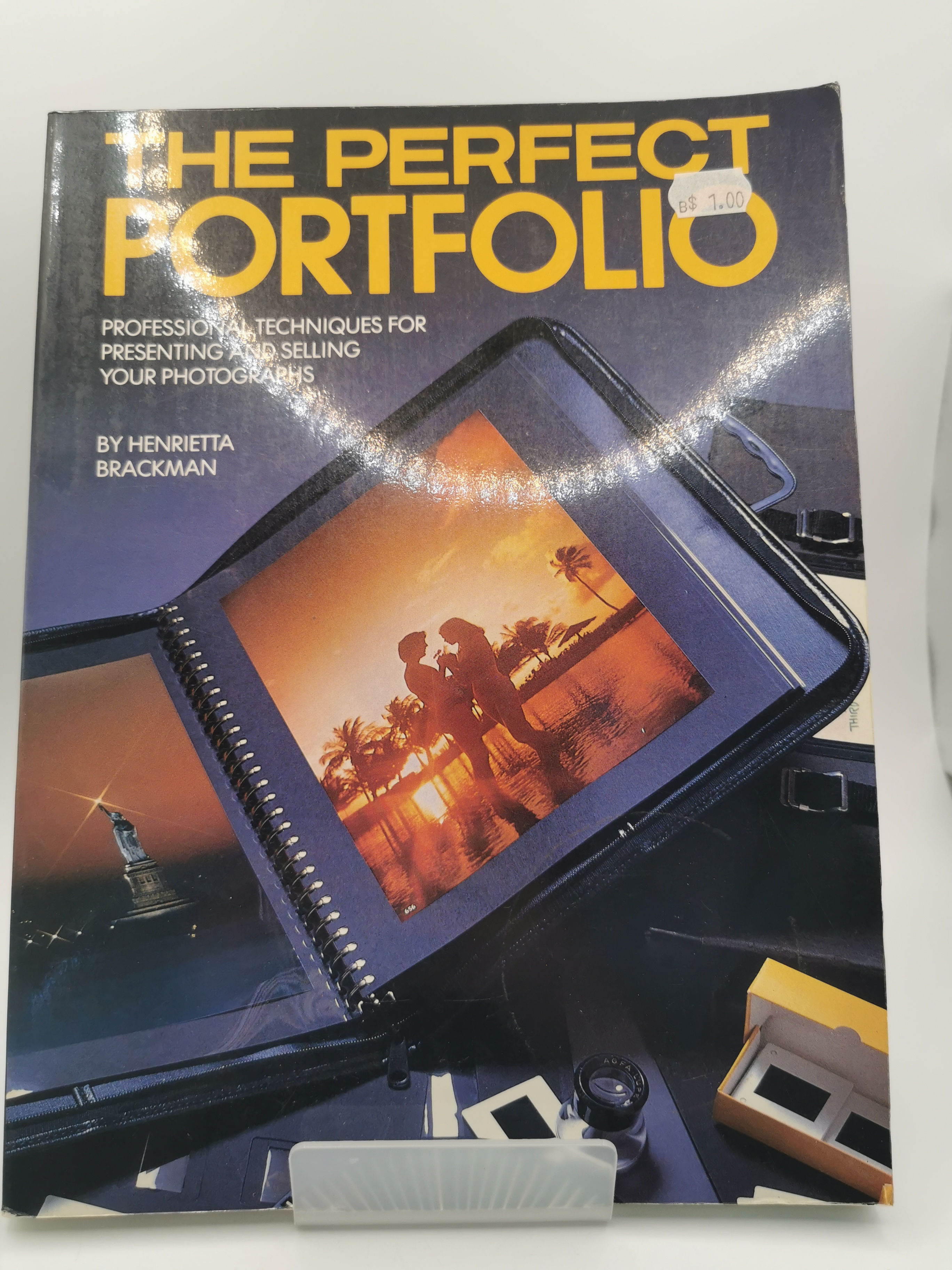 The Perfect Portfolio - Henrietta Brackman