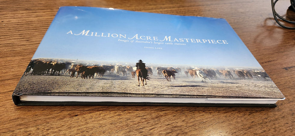 A Million Acre Masterpiece - Fiona Lake