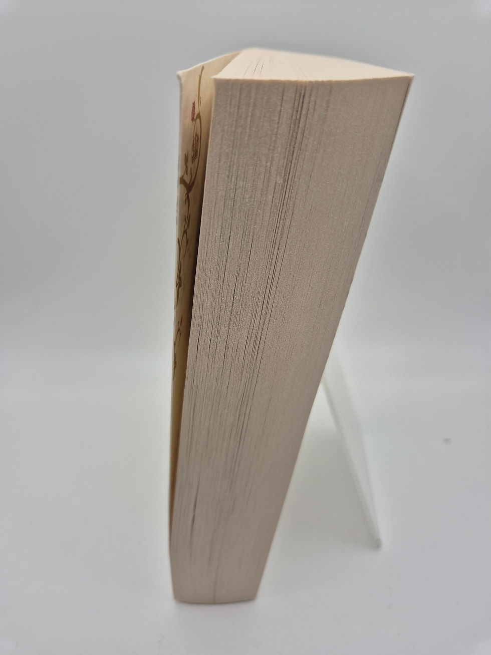 Thumbnail: The White Princess - Philippa Gregory