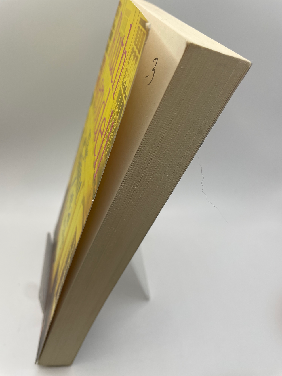 Thumbnail: The Saint Zita Society - Ruth Rendell