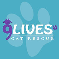 9lives.jpg