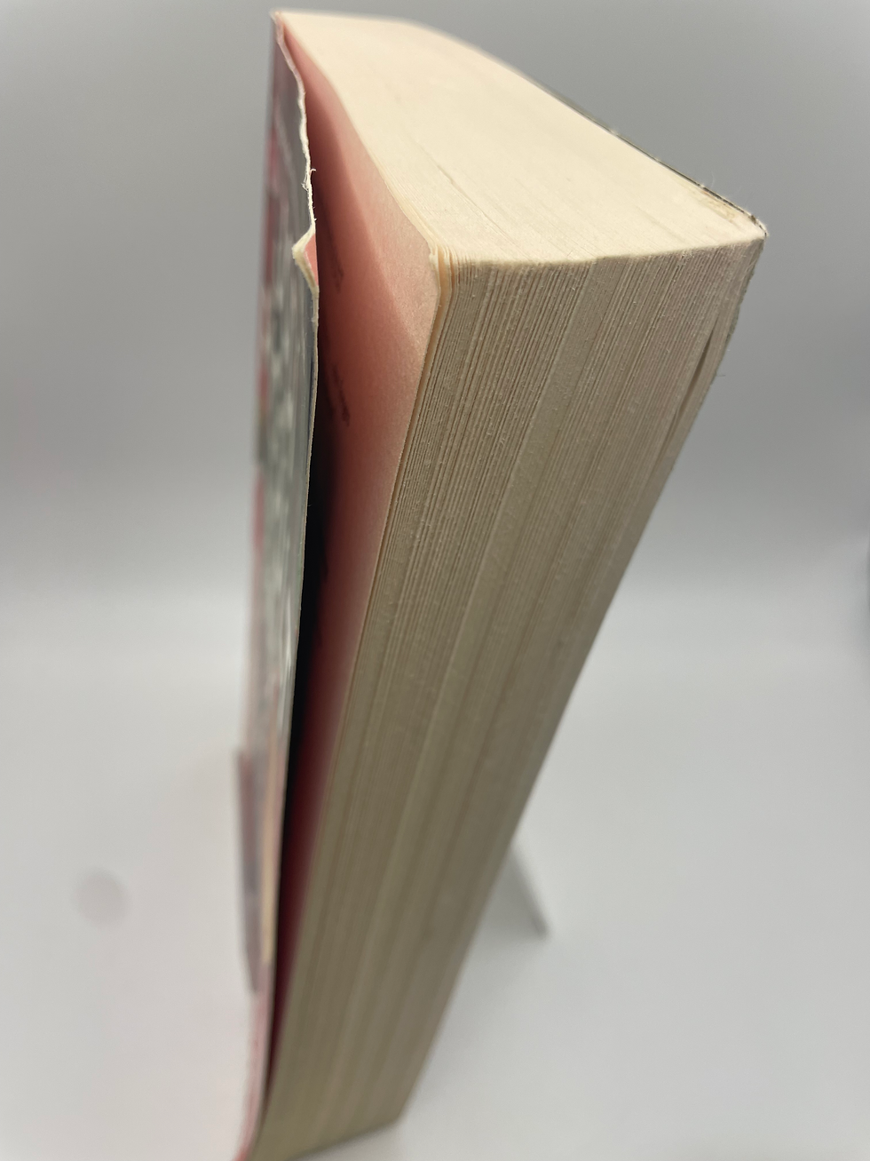 Thumbnail: By Any Other Name - Jodi Picoult