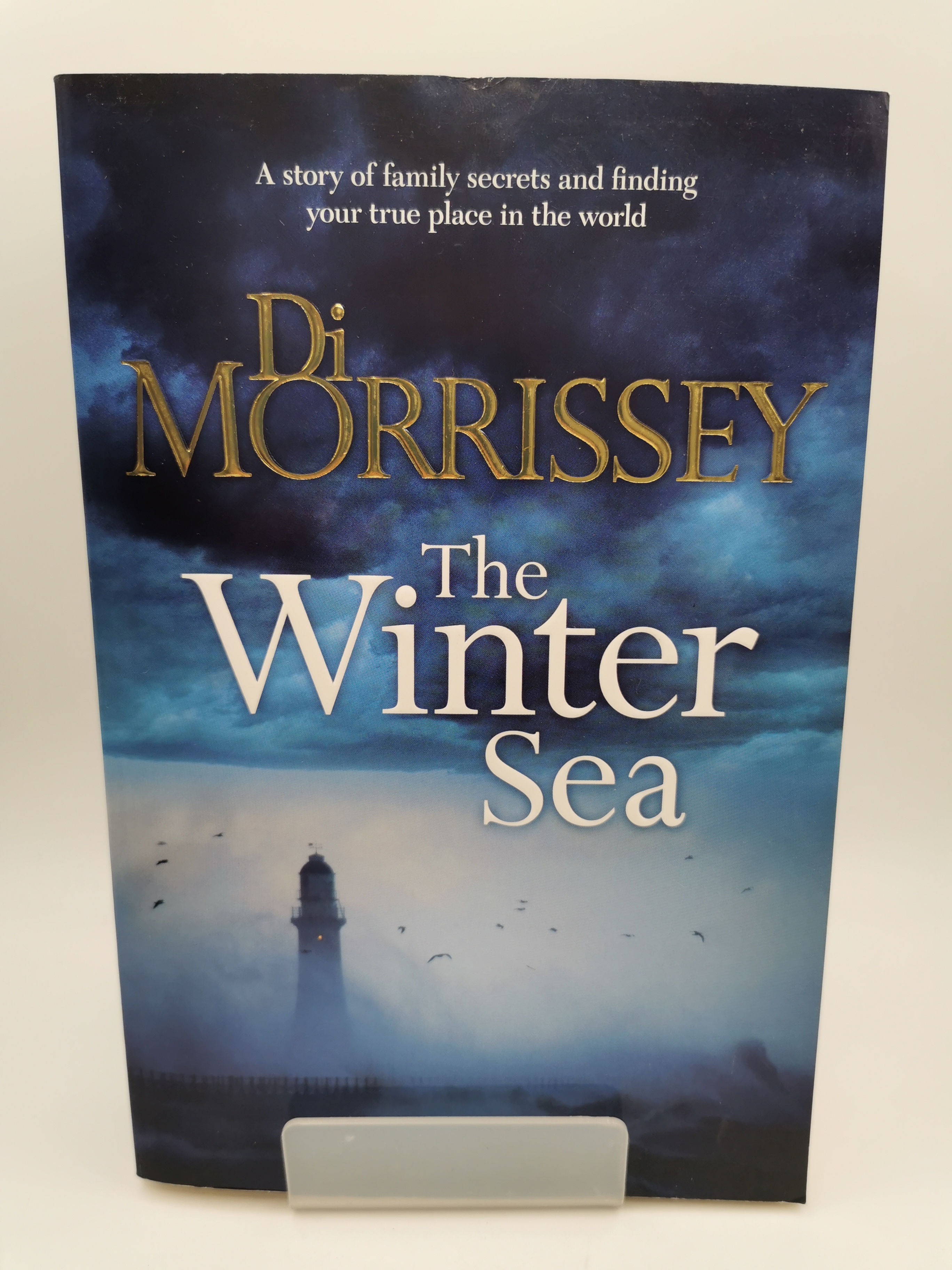 The Winter Sea - Di Morrissey