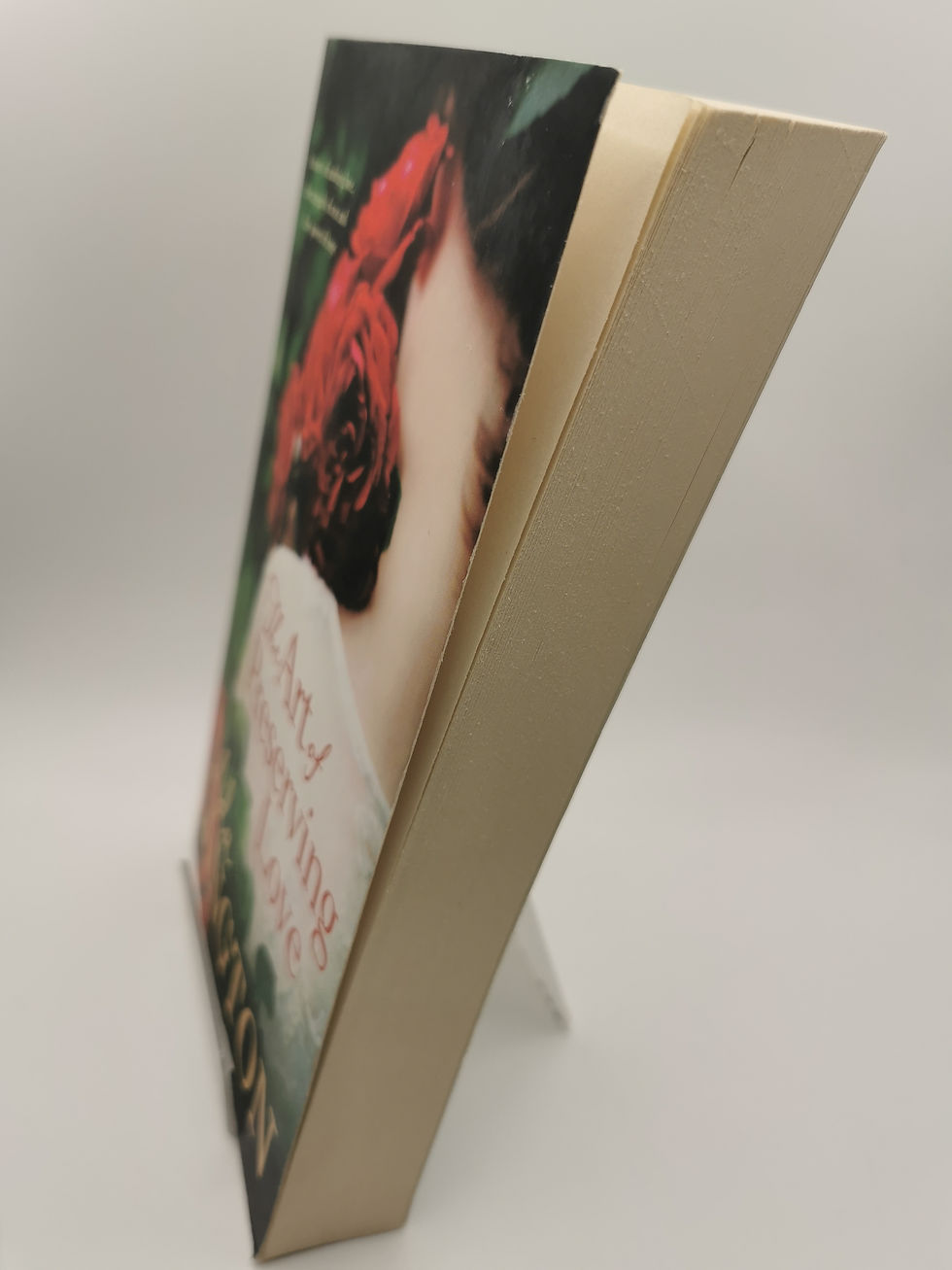 Thumbnail: The Art of Preserving Love - Ada Langton