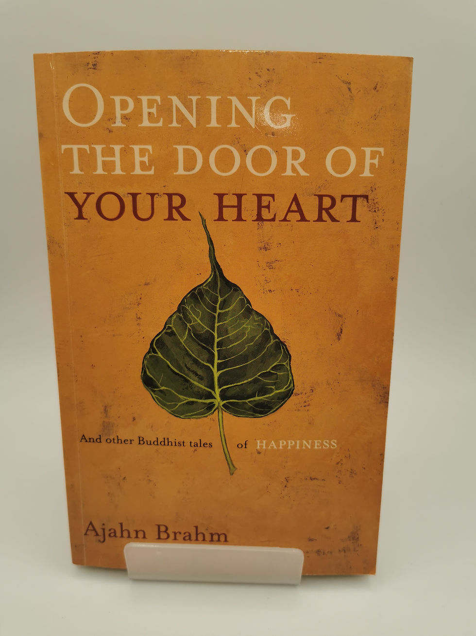 Thumbnail: Opening the Door of Your Heart - Ajahn Brahm