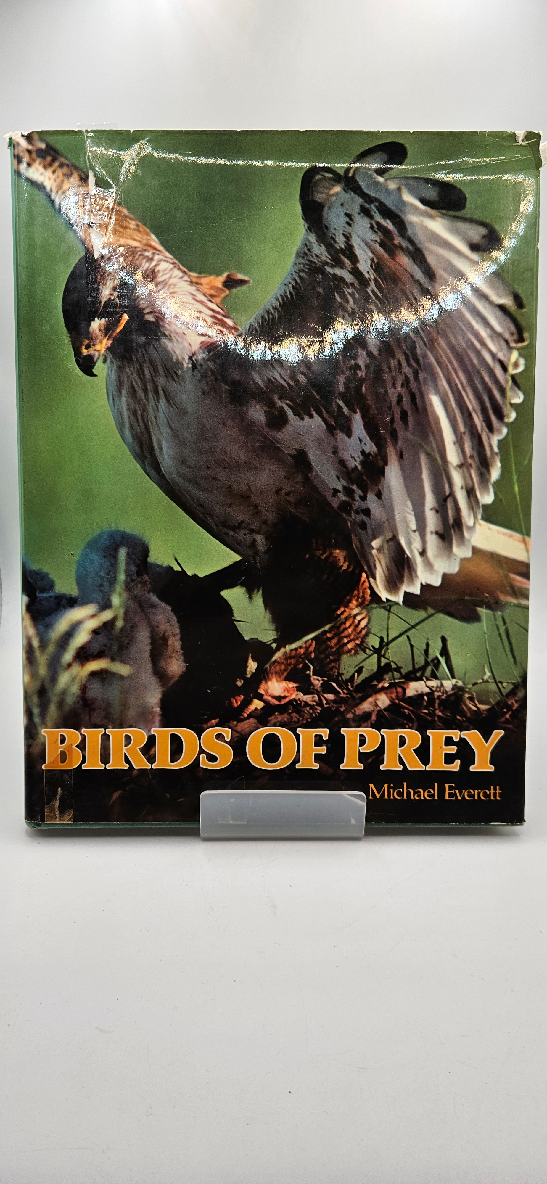 Birds of Prey - Michael Everett