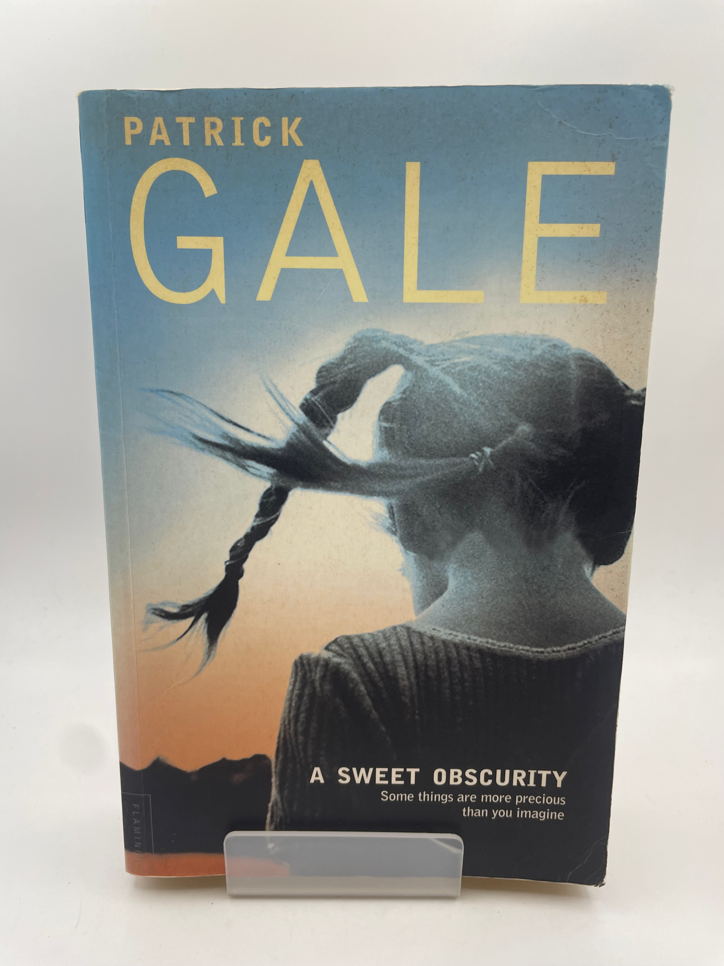 A Sweet Obscurity - Patrick Gale