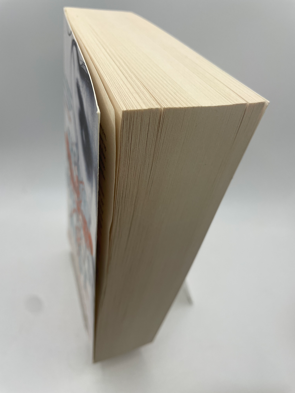 Thumbnail: The Girl Who Kicked the Hornets' Nest - Stieg Larsson