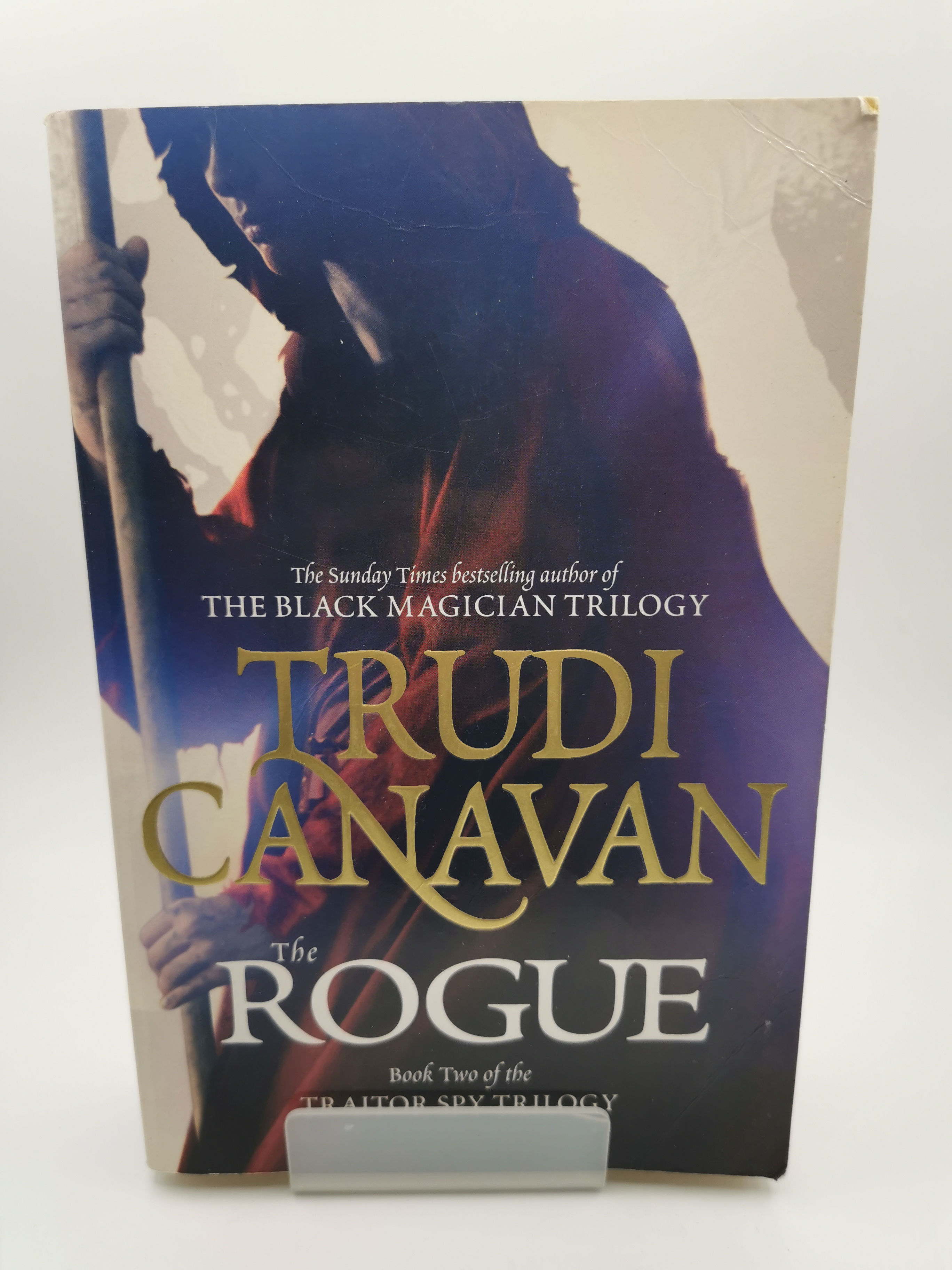 The Rogue - Trudi Canavan