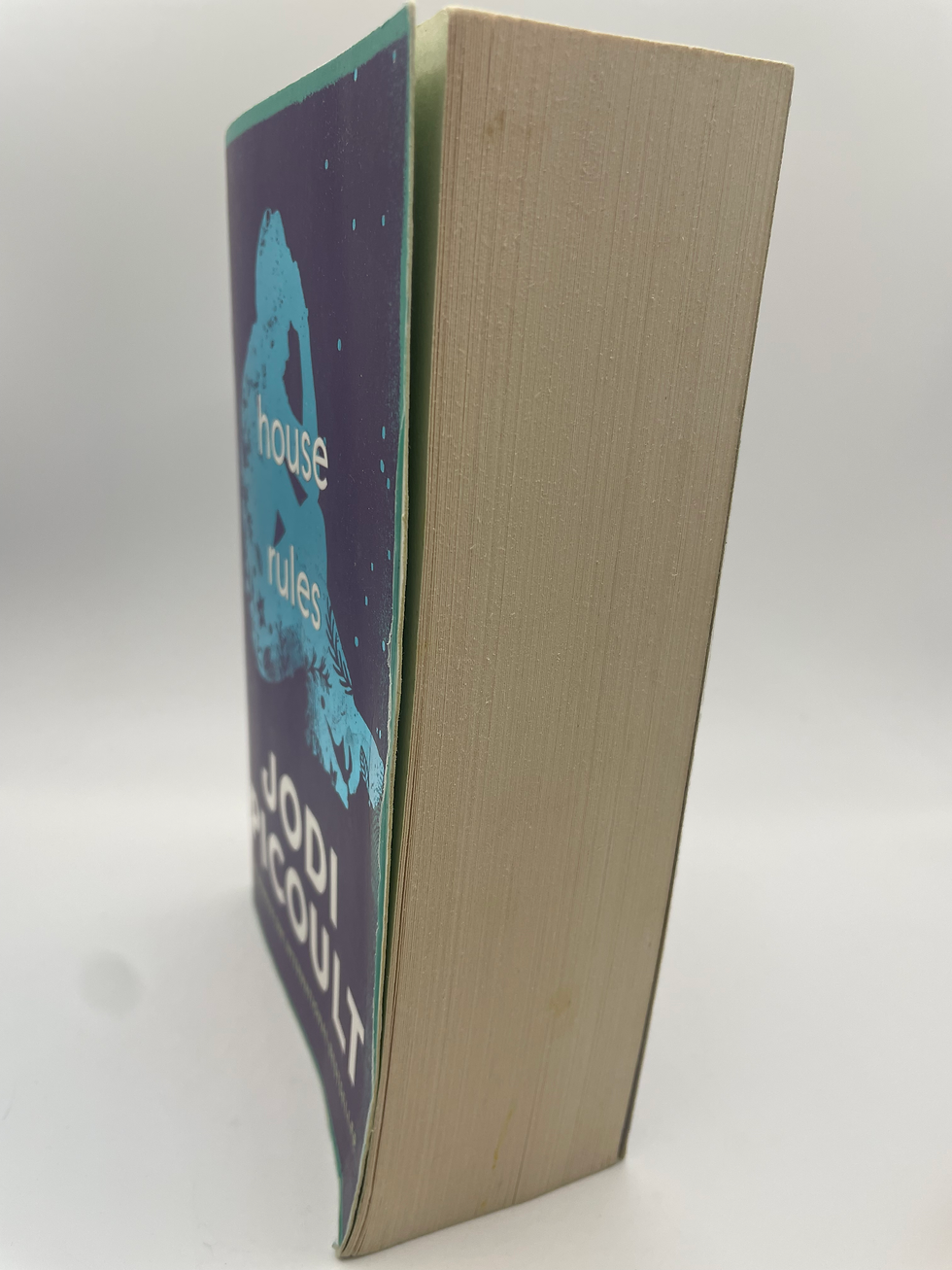 Thumbnail: House Rules - Jodi Picoult