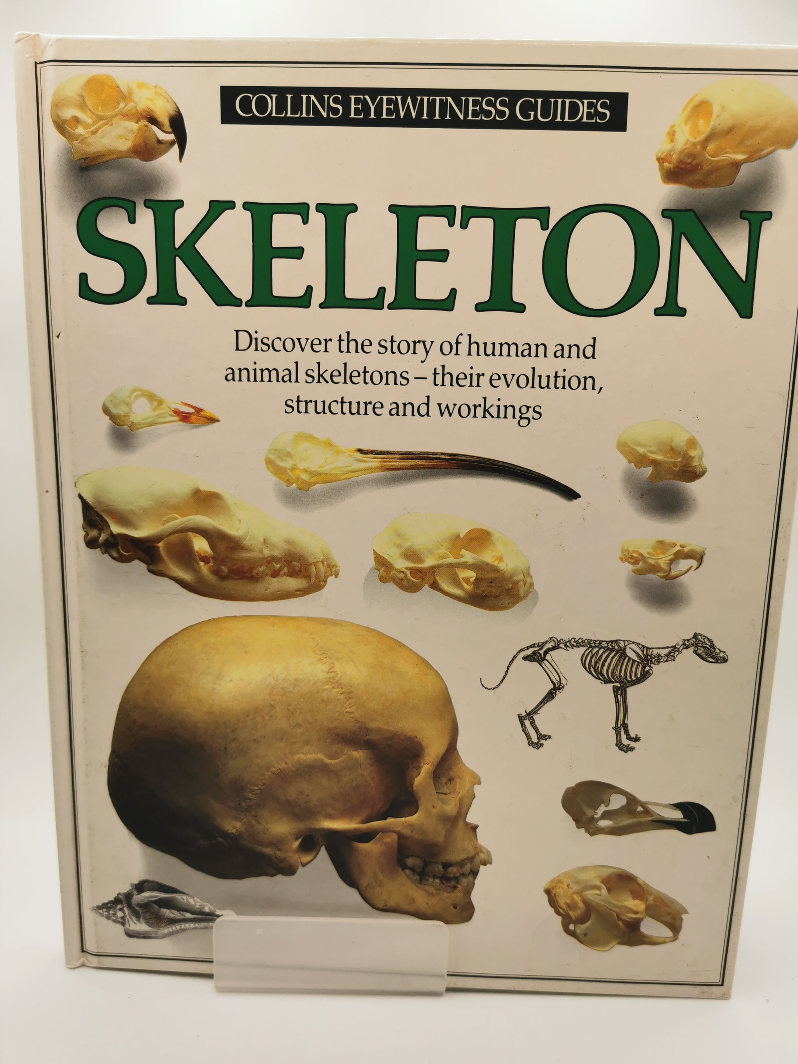 Skeleton - Steve Parker