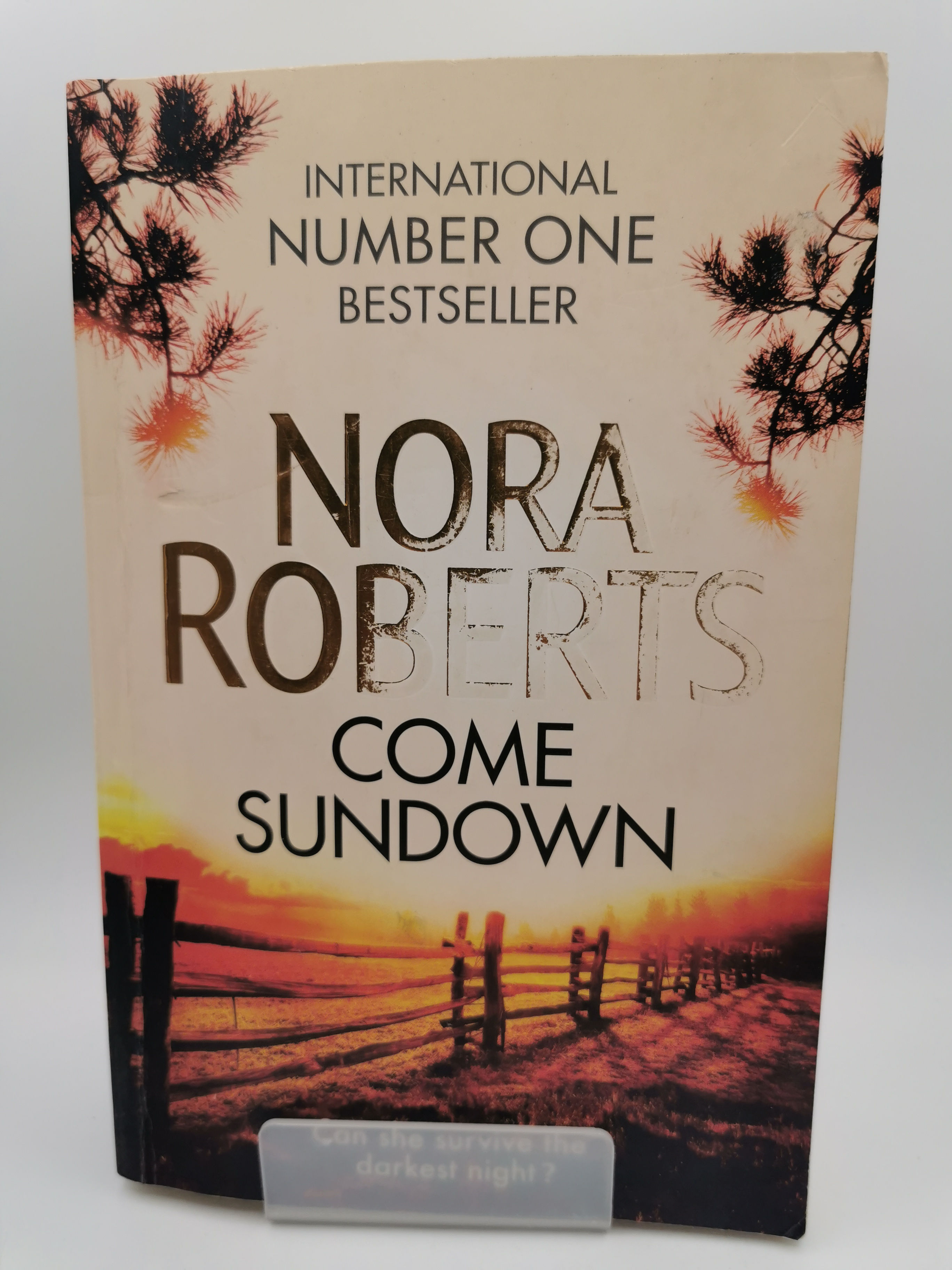 Come Sundown - Nora Roberts