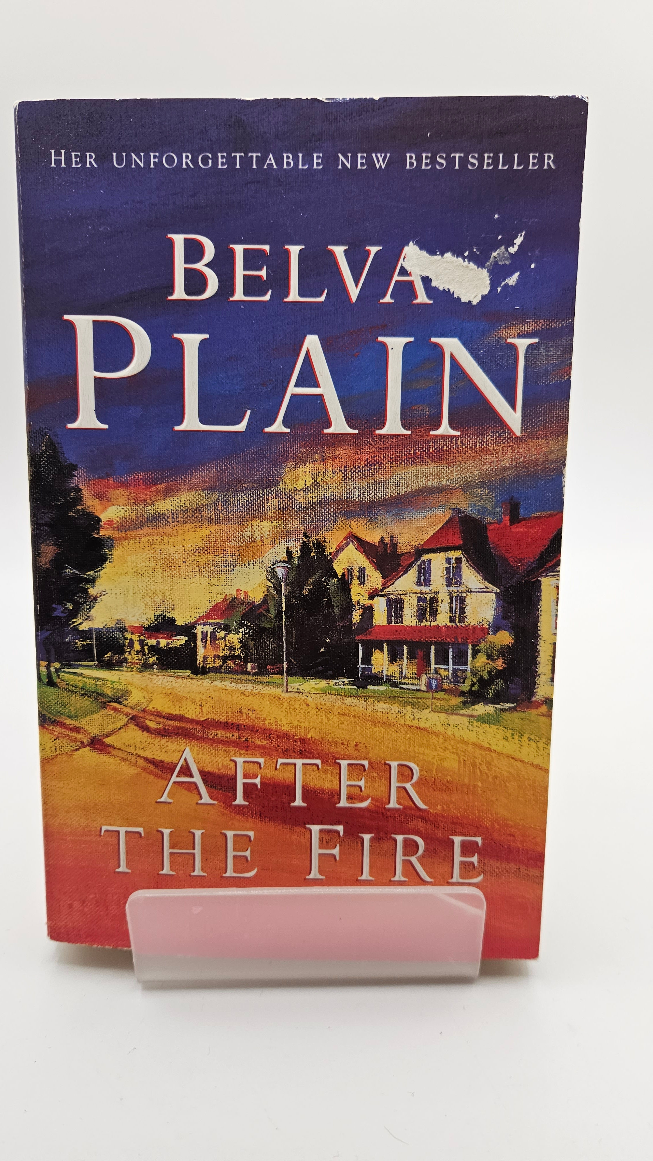 After the Fire - Belva Plain