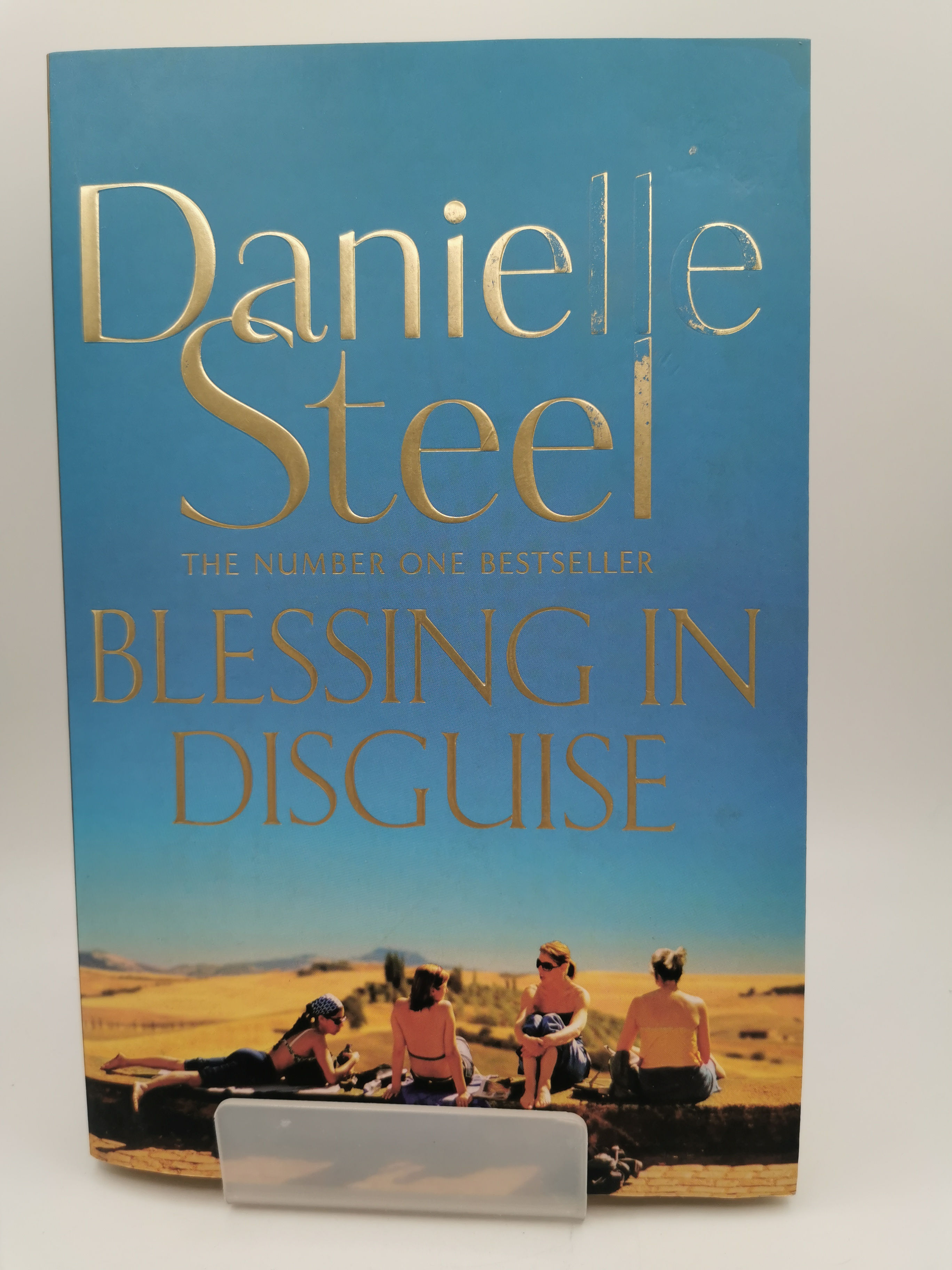 Blessing in Disguise - Danielle Steel