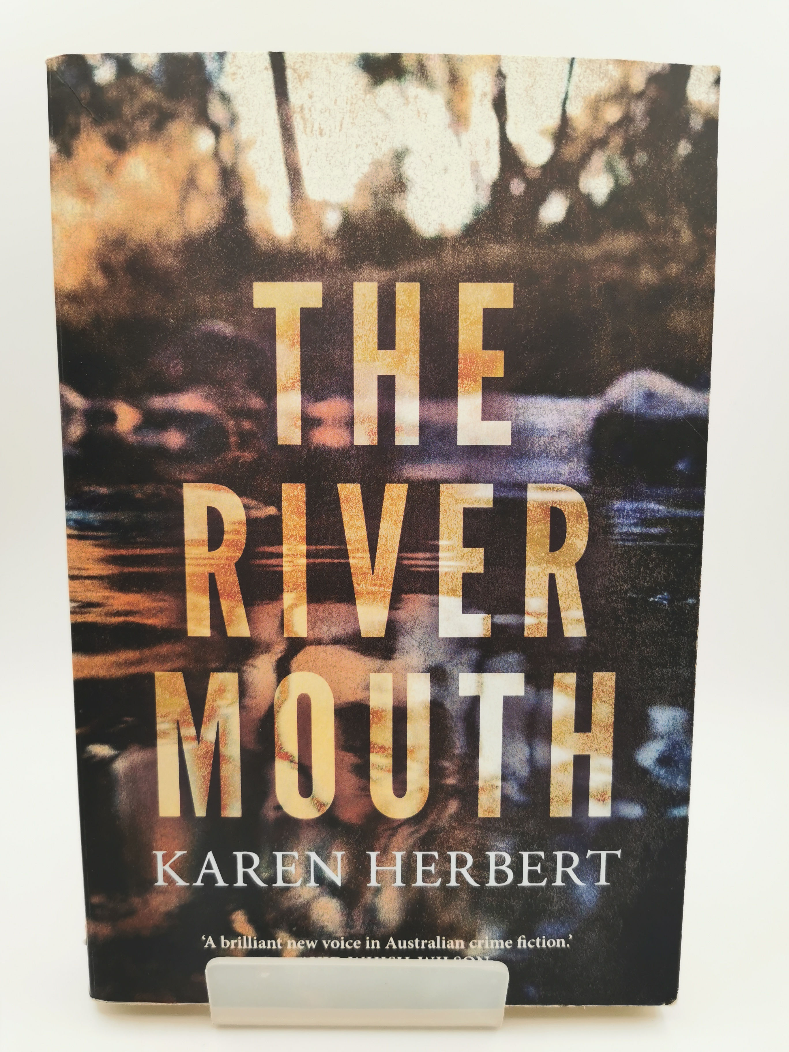 The River Mouth - Karen Herbert
