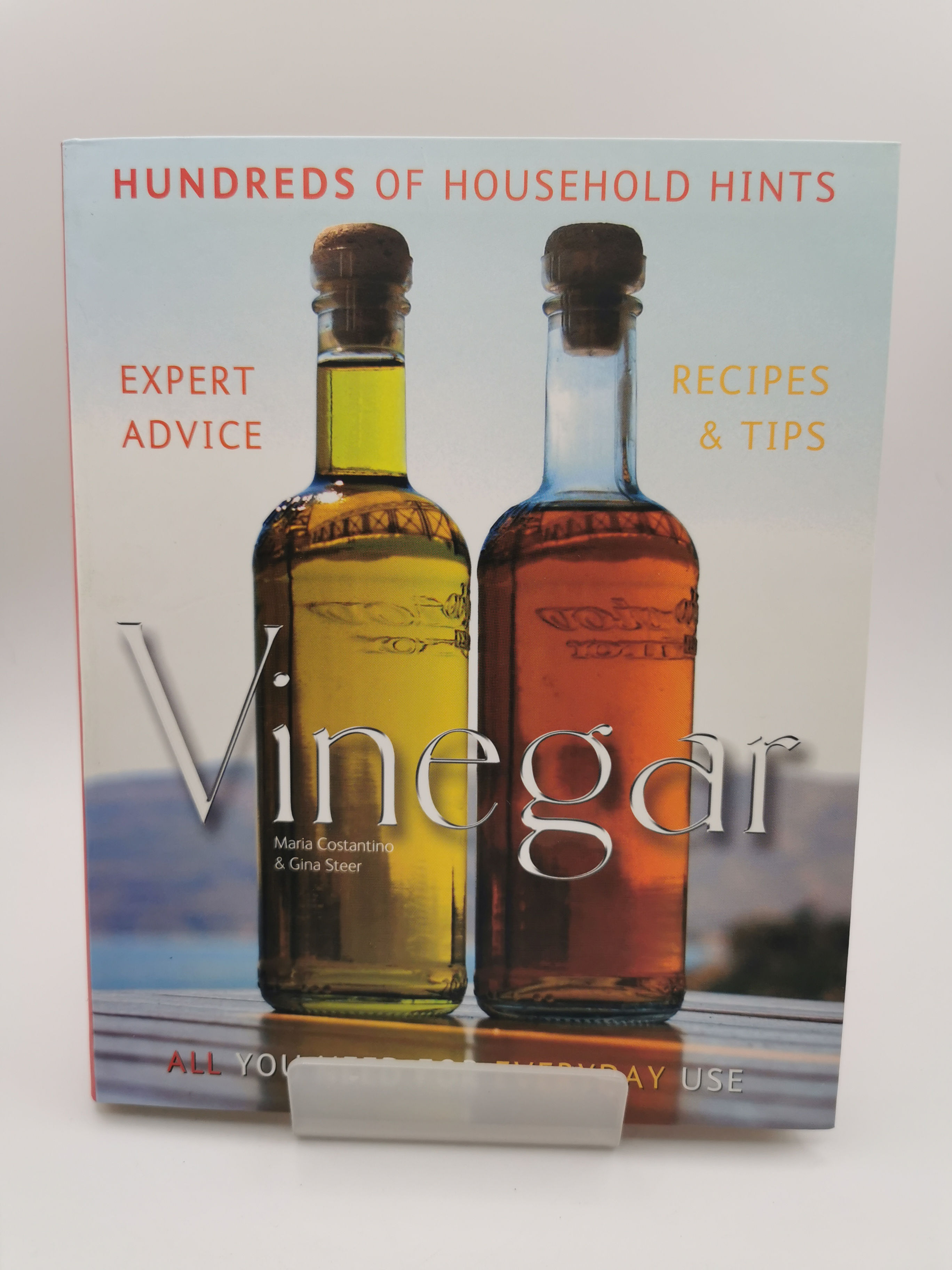 Vinegar - Maria Costantino