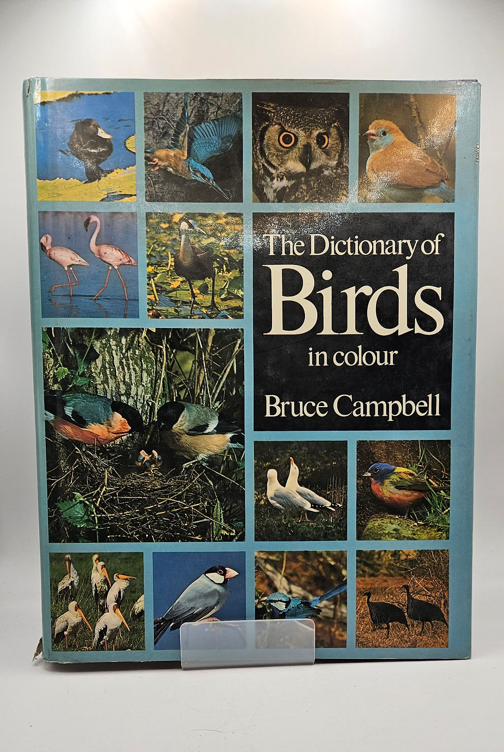 Thumbnail: Dictionary of the Birds - Bruce Campbell