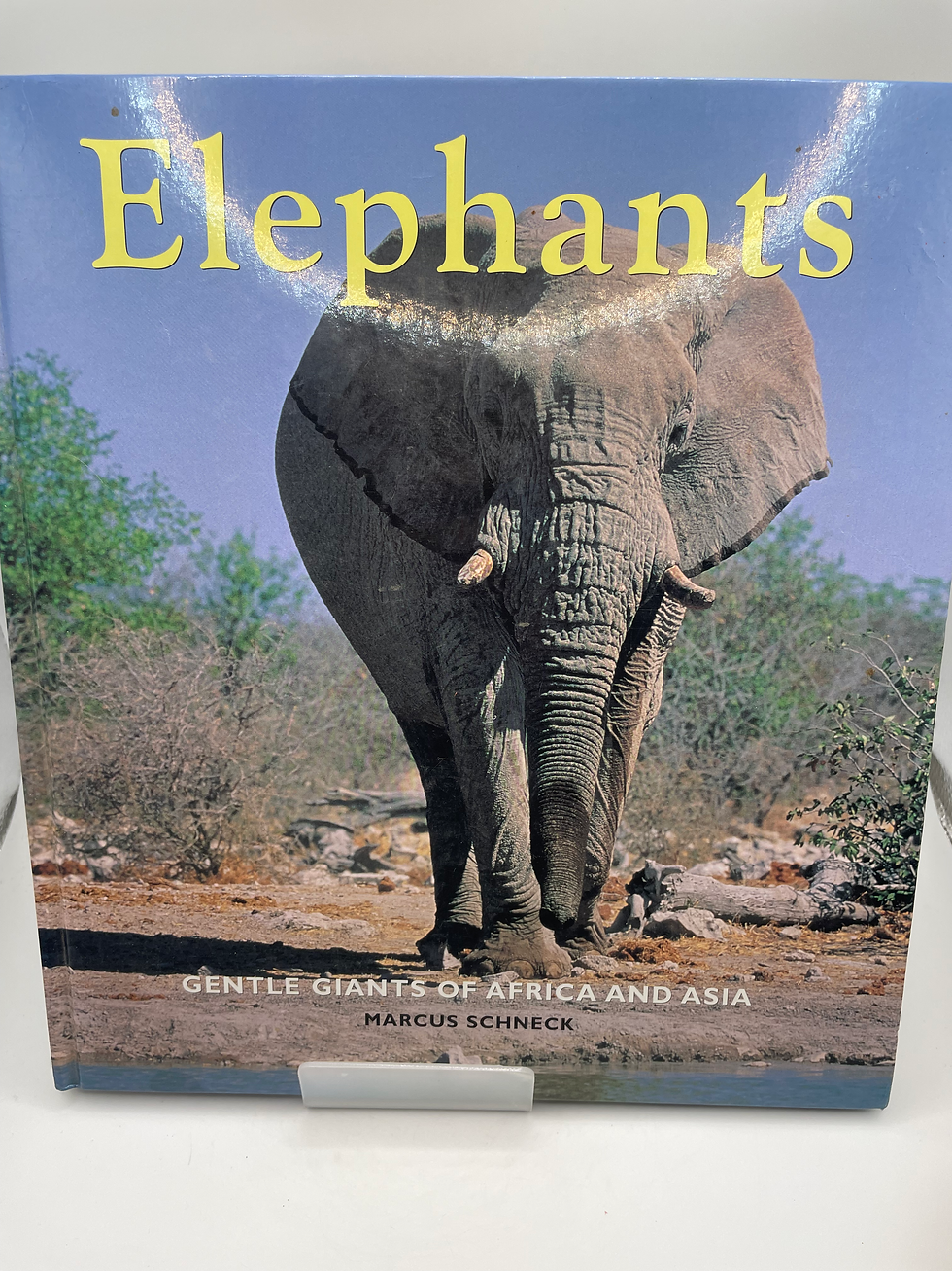 Thumbnail: Elephants - Marcus Schneck