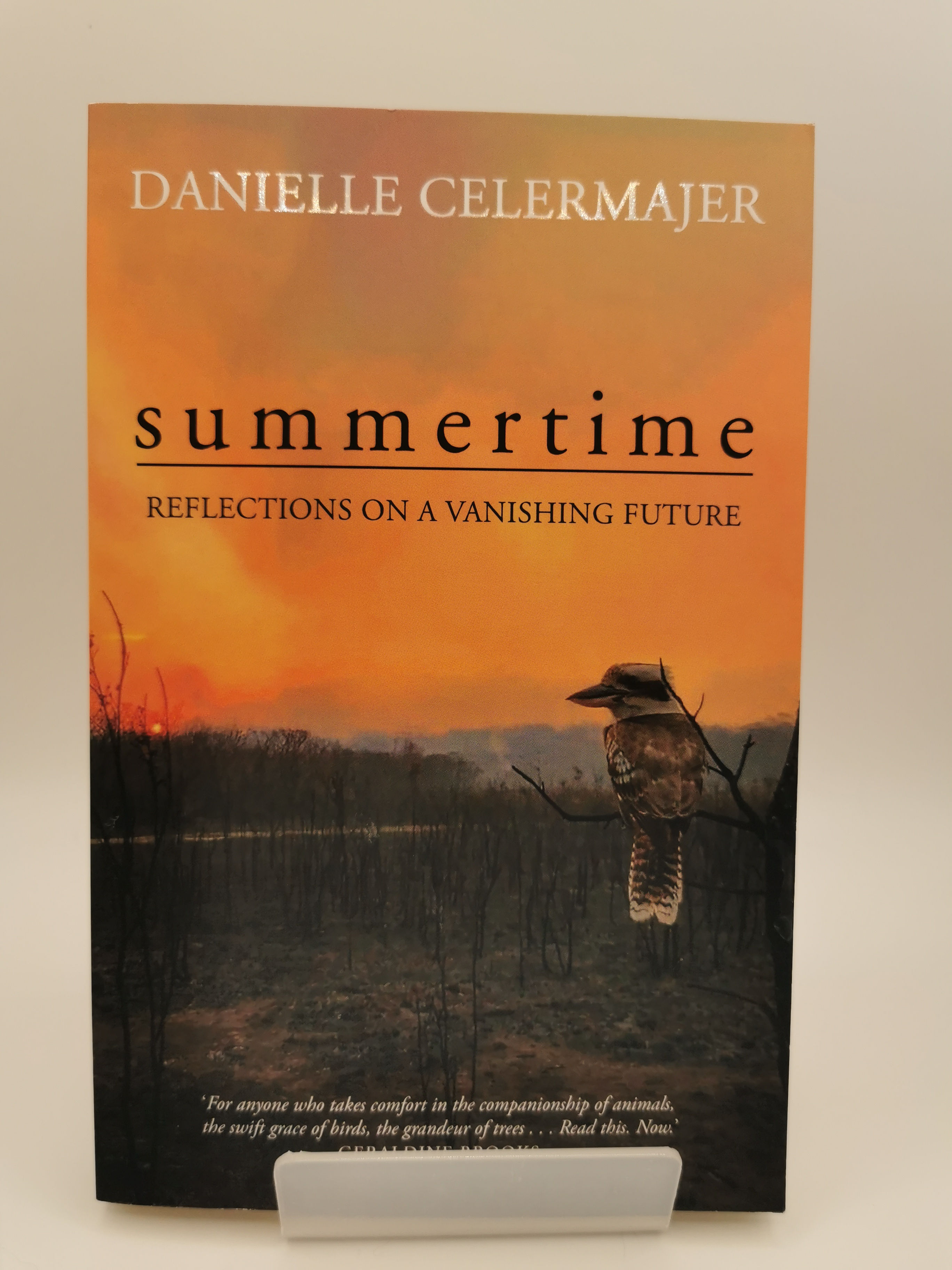 Summertime: Reflections on a Vanishing Future - Danielle Celermajer