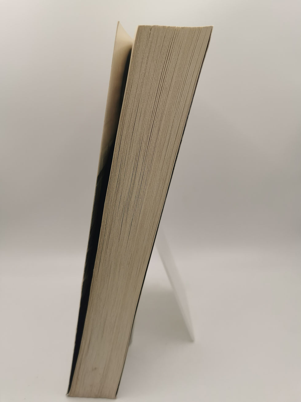 Thumbnail: By the Light of the Moon - Dean Koontz