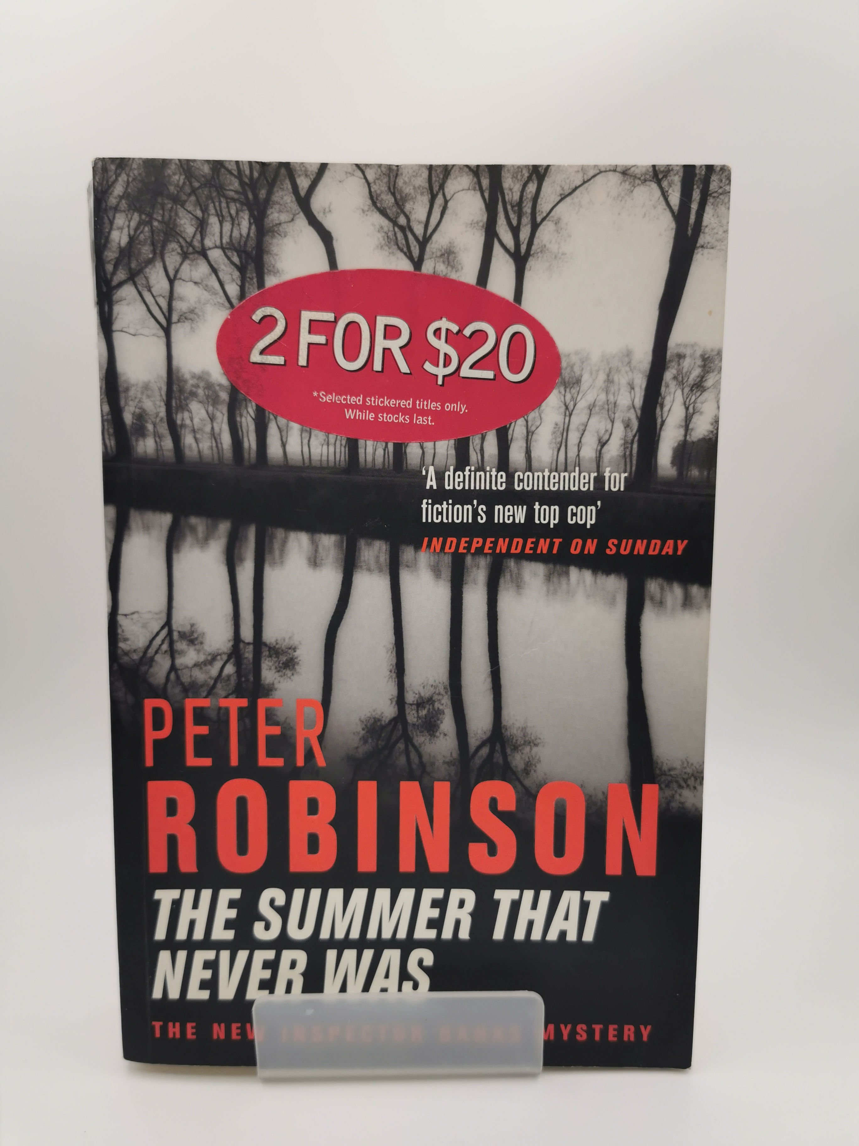The Summer That Never Was - Peter Robinson