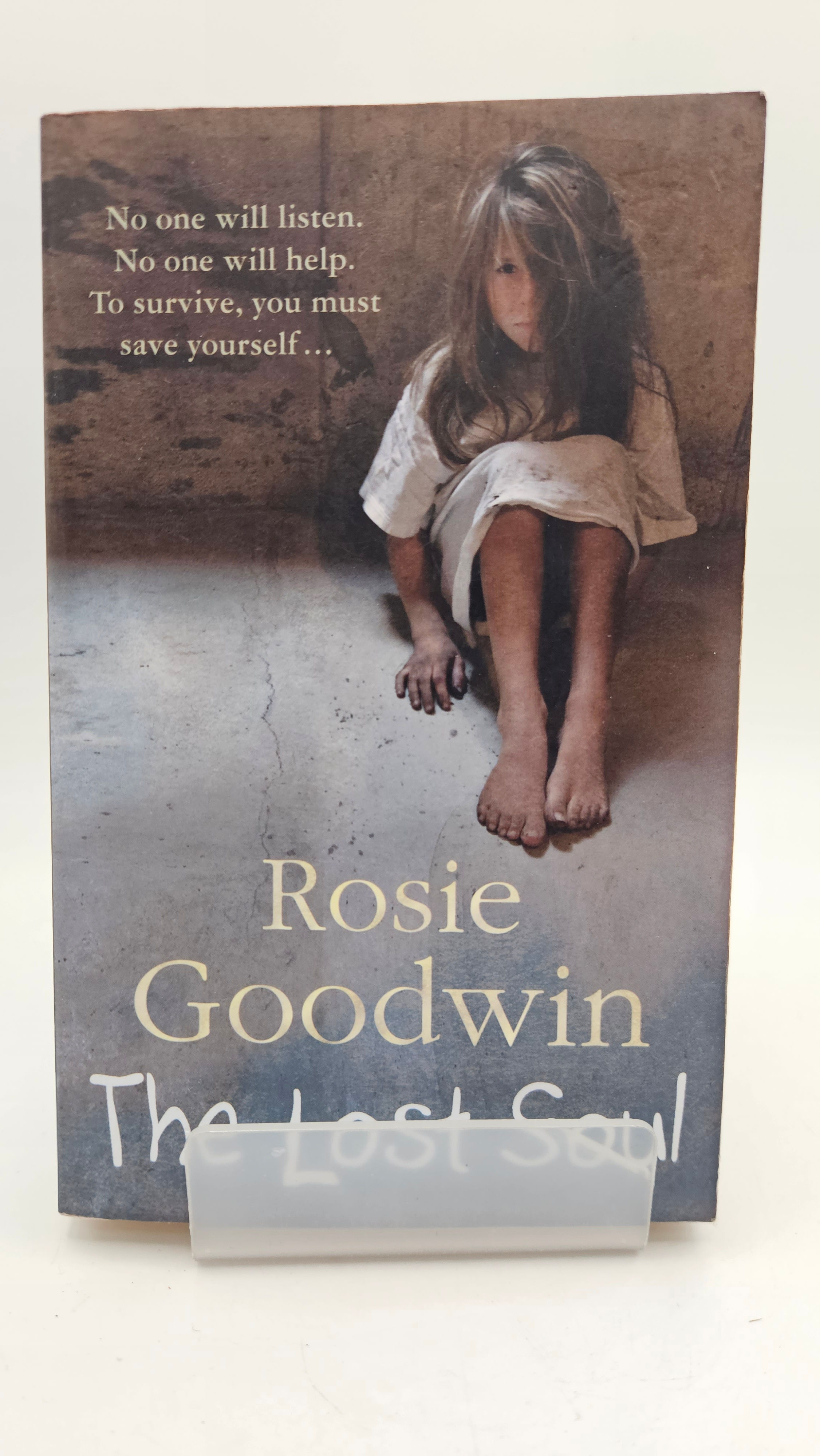 The Lost Soul - Rosie Goodwin