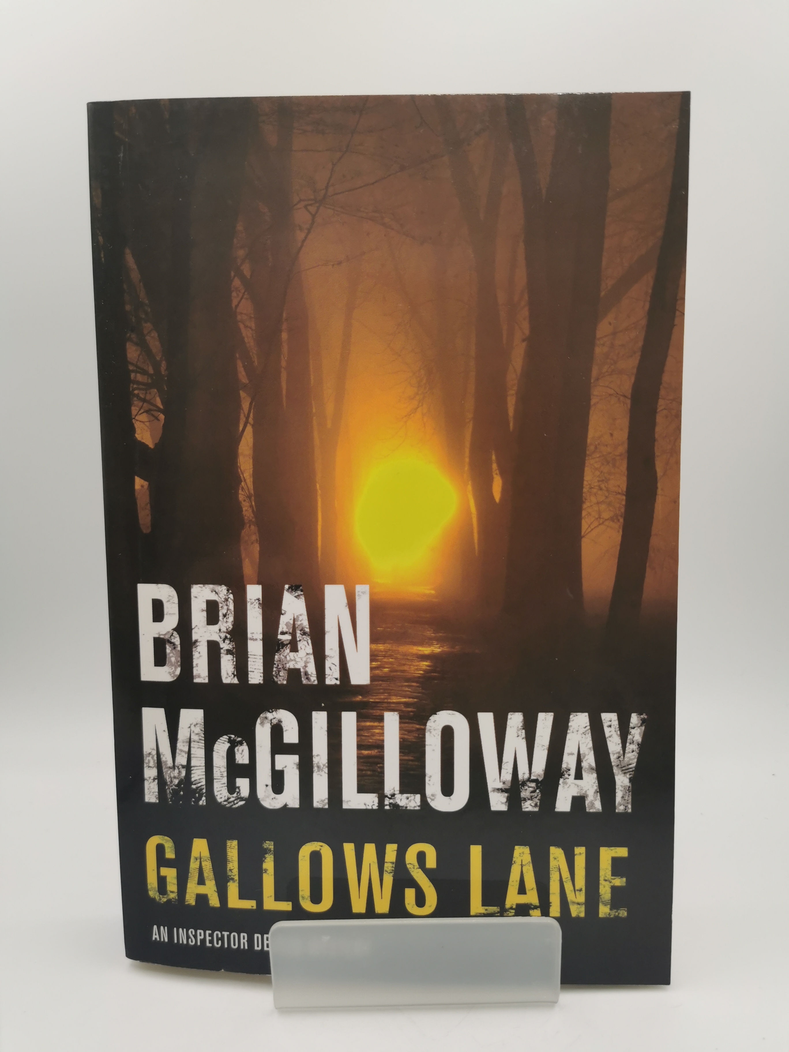 Gallows Lane - Brian McGilloway