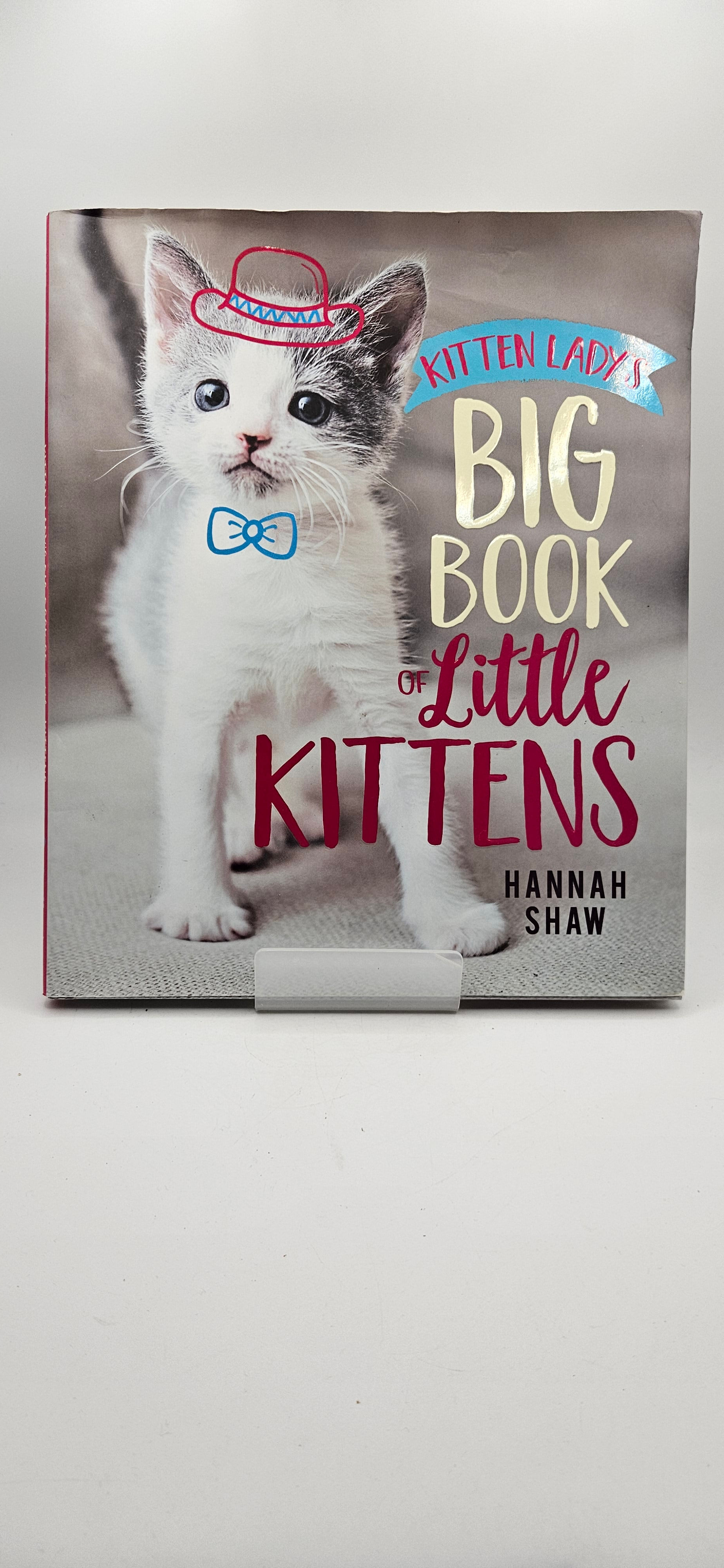 Kitten Lady's: Big Book of Little Kittens - Hannah Shaw