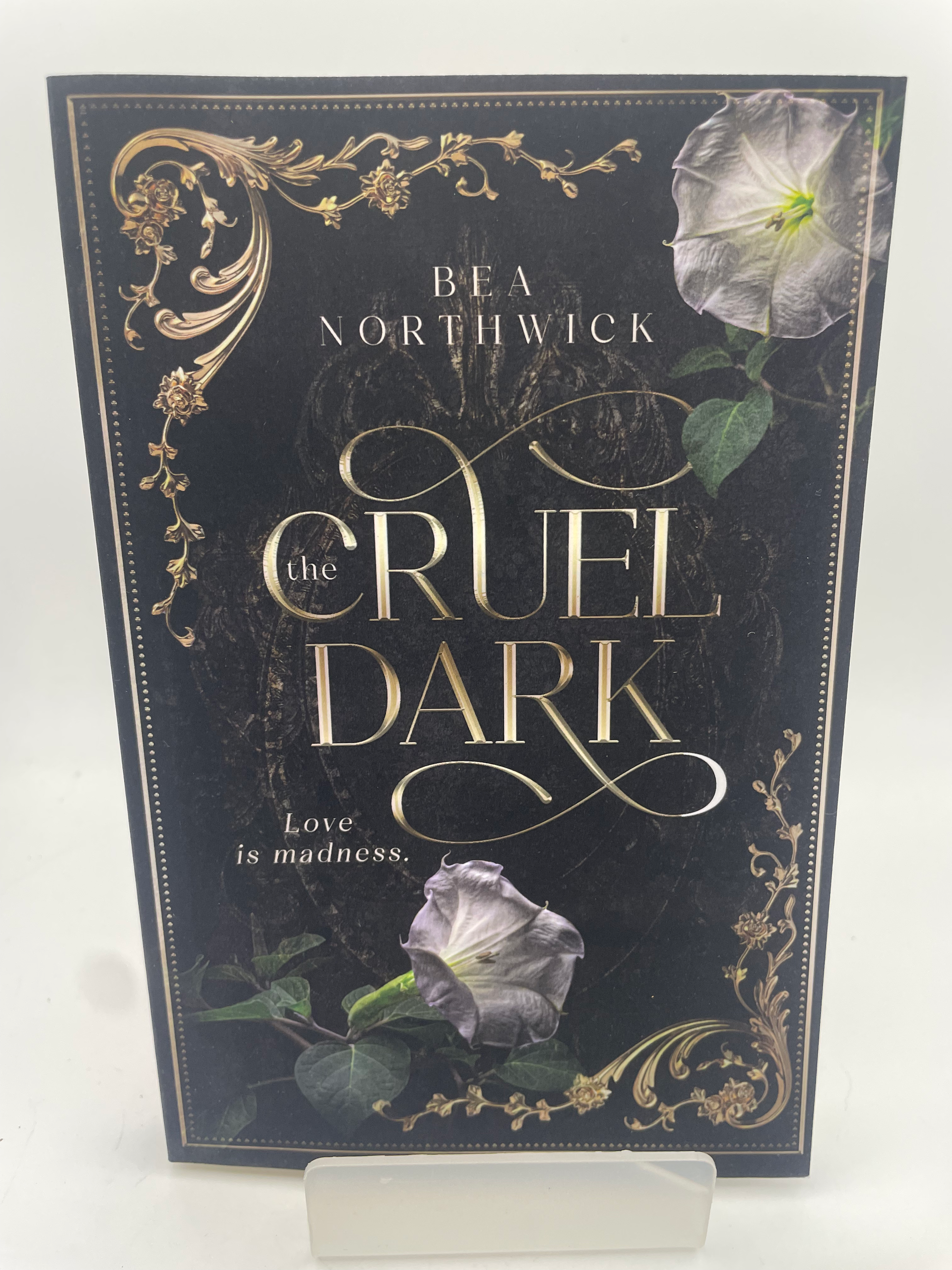 The Cruel Dark - Bea Northwick