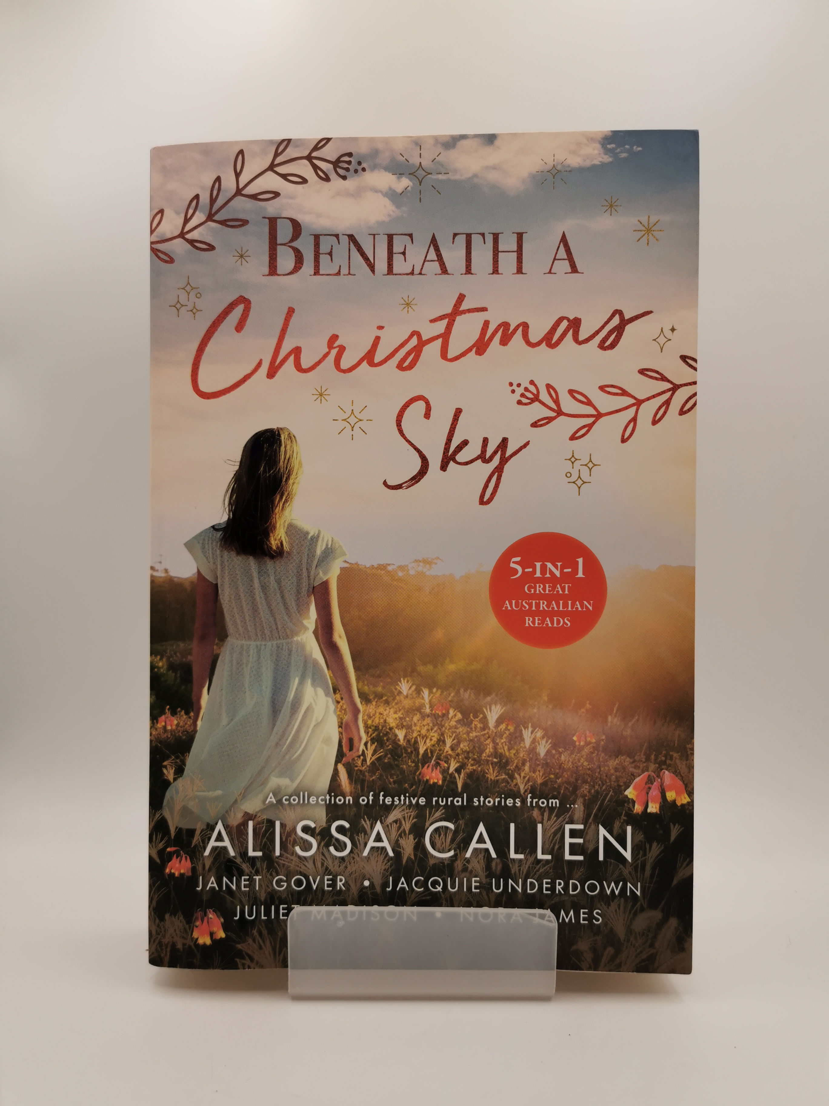 Beneath a Christmas Sky - Alissa Callen