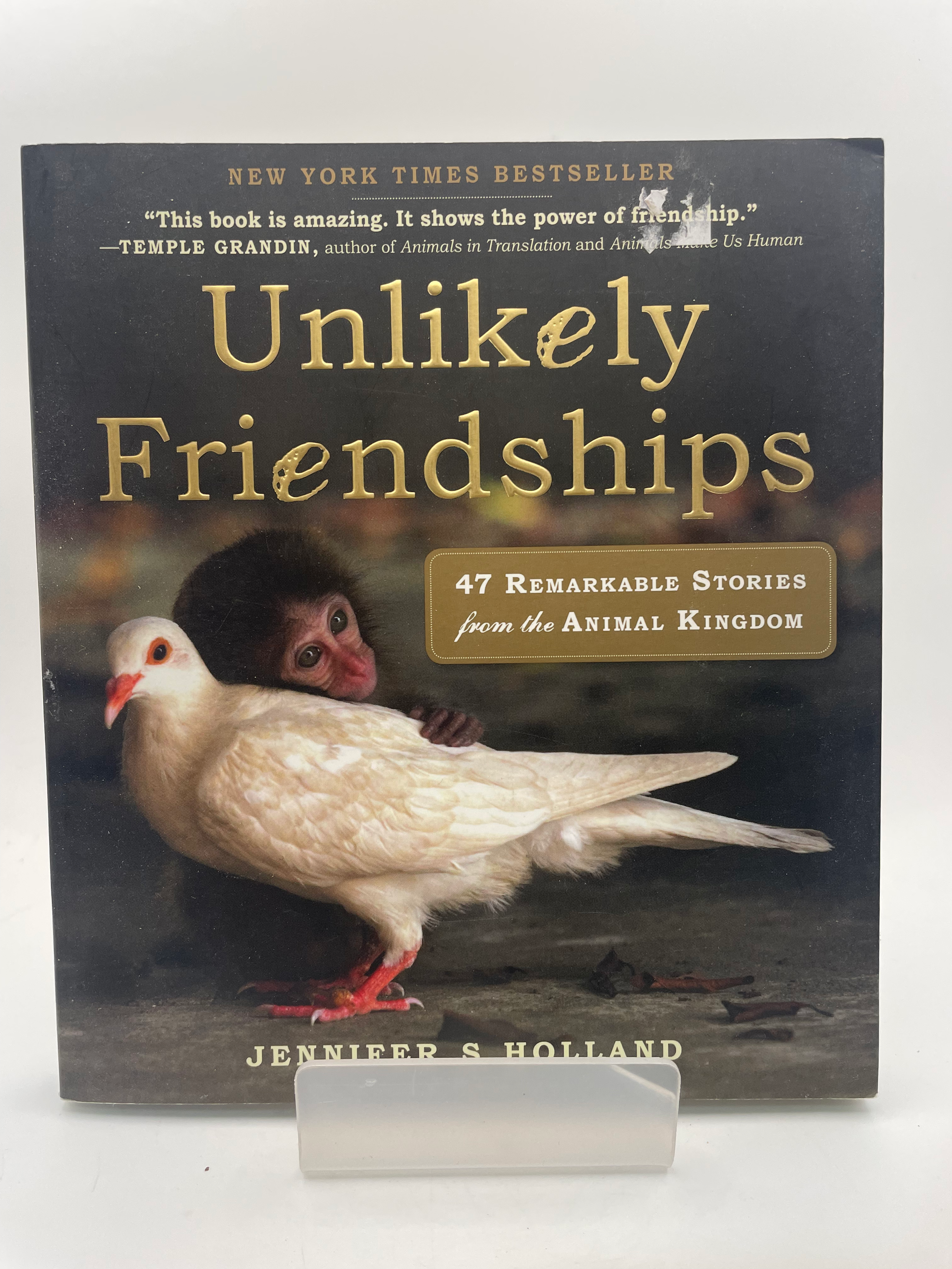 Unlikely Friendships - Jennifer S. Holland