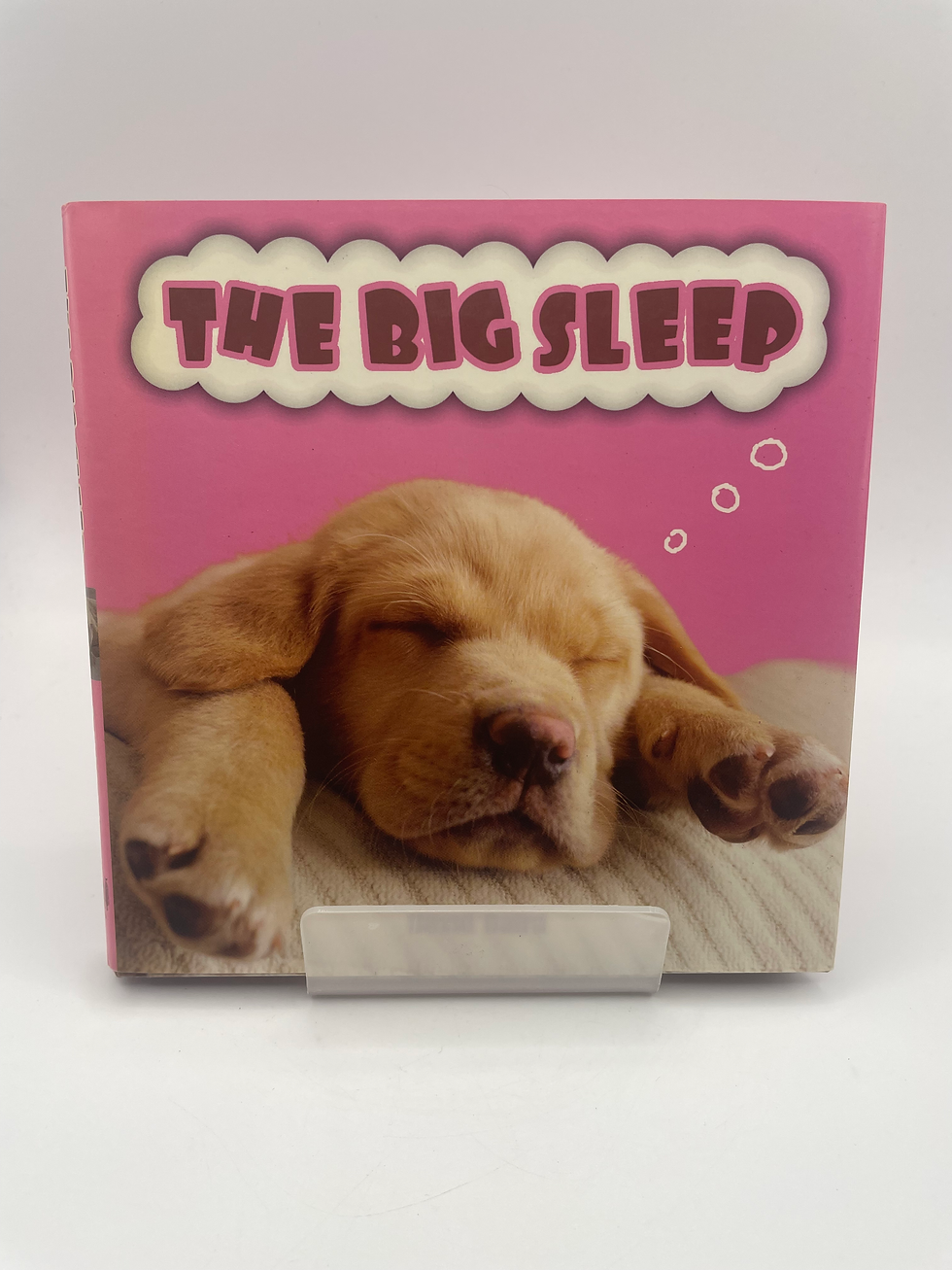 Thumbnail: The Big Sleep - David Baird