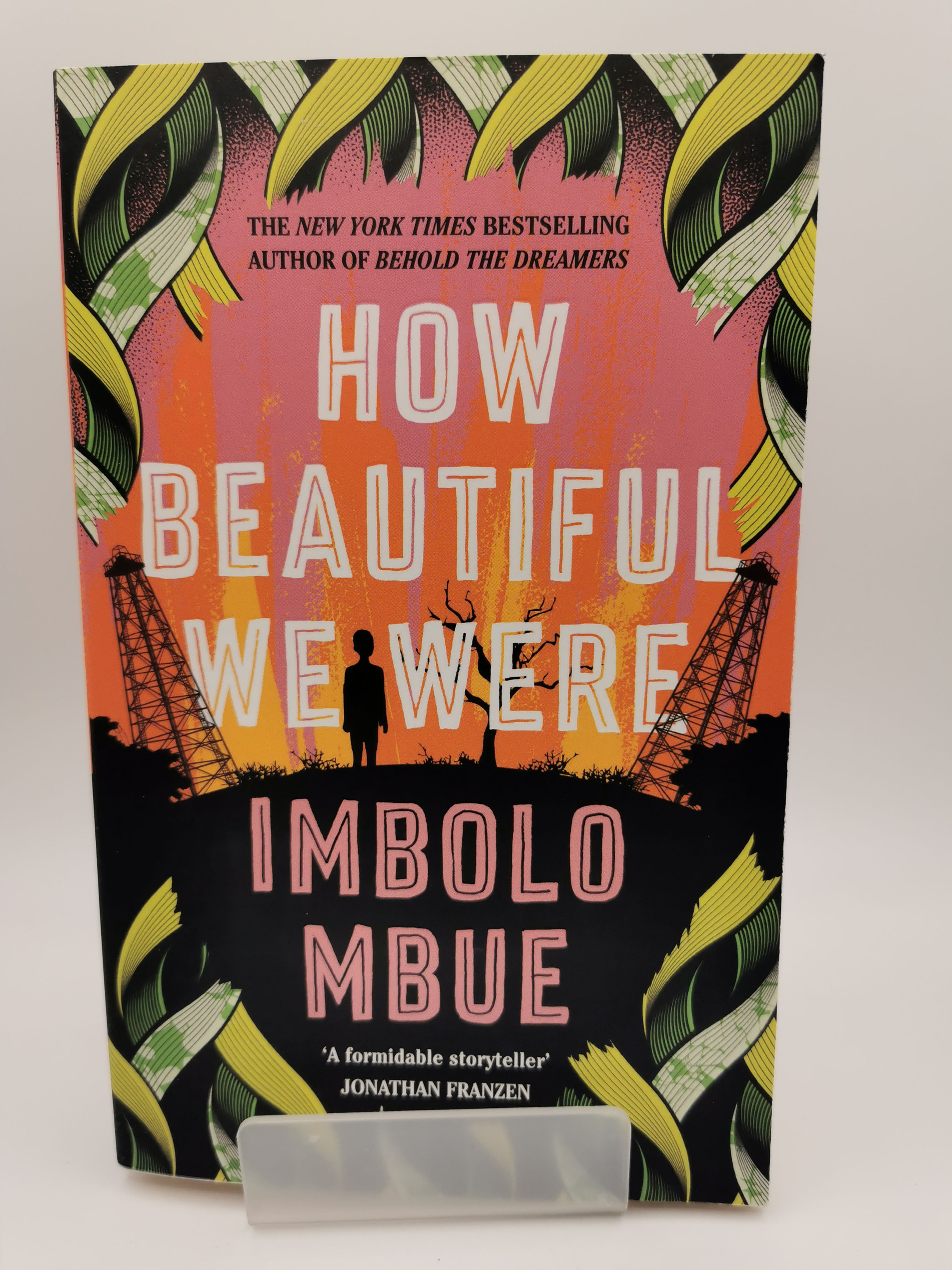 How Beautiful We Were - Imbolo Mbue