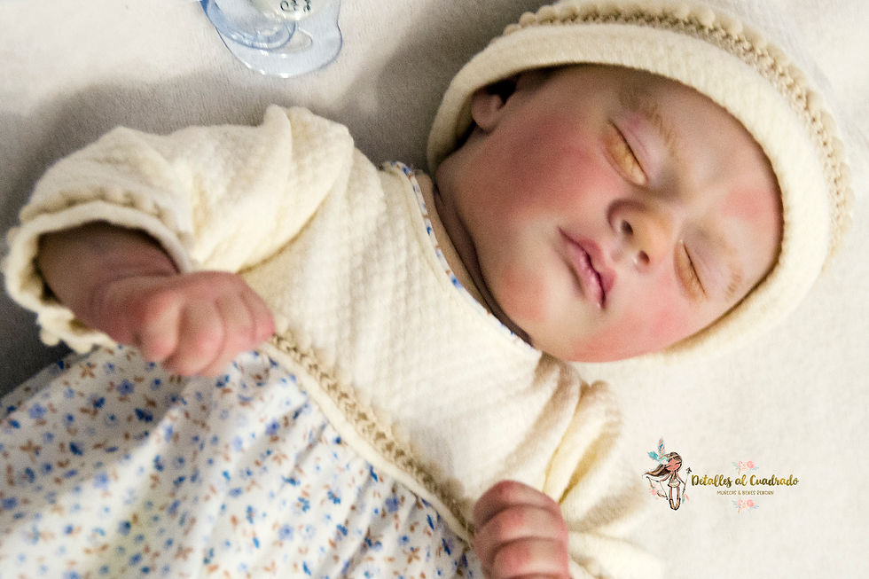 Miniatura: Mellizos Reborn