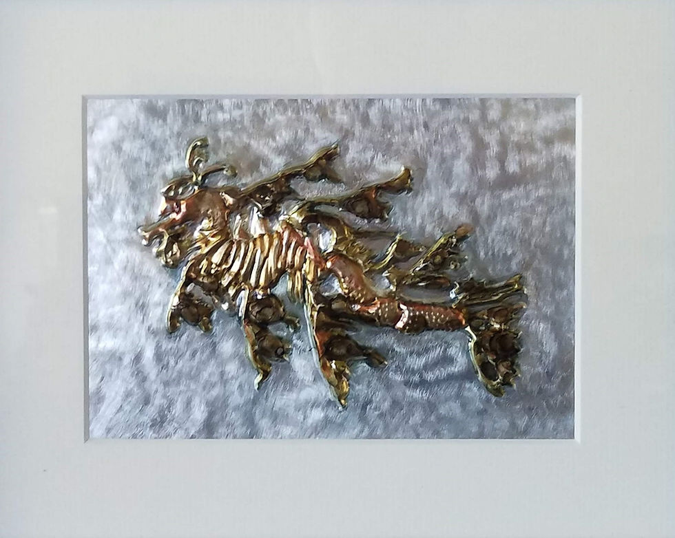 Leafy Seadragon - Birch Aquarium