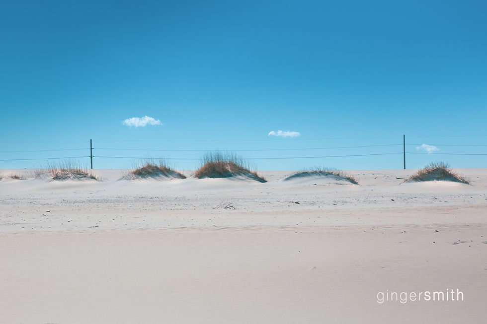 the anthropomorphic landscape