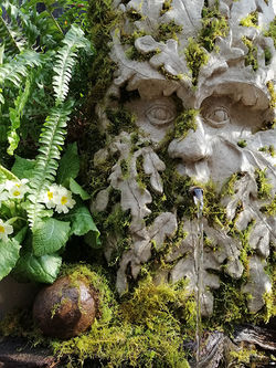 Mossy Kings Forest Green Man