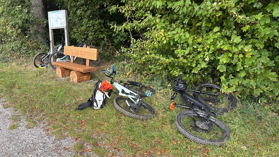 Schiffennensee 3.jpeg